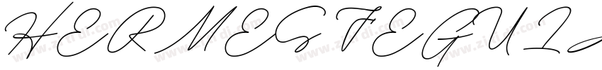 HERMES FEGULAR字体转换
